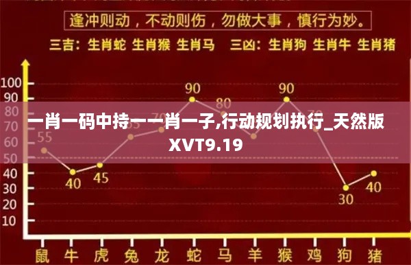 一肖一码中持一一肖一子,行动规划执行_天然版XVT9.19