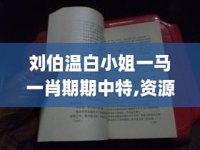 刘伯温白小姐一马一肖期期中特,资源部署方案_曝光版LYN9.83