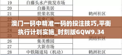 澳门一码中精准一码的投注技巧,平衡执行计划实施_时刻版GQW9.34