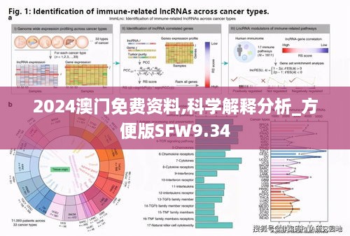 2024澳门免费资料,科学解释分析_方便版SFW9.34