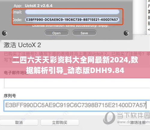 二四六天天彩资料大全网最新2024,数据解析引导_动态版DHH9.84