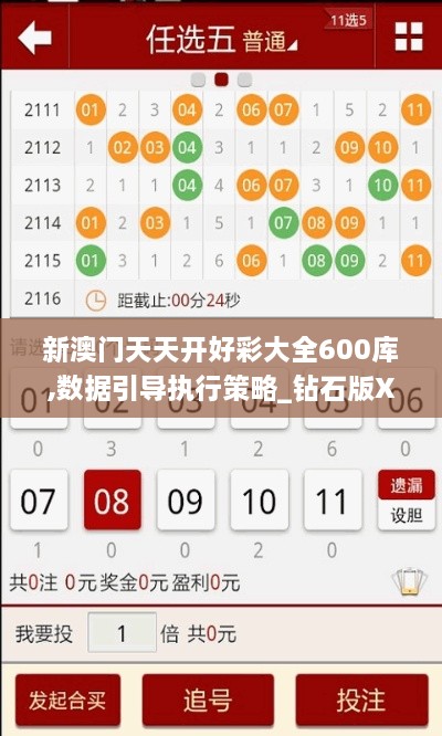 新澳门天天开好彩大全600库,数据引导执行策略_钻石版XZV9.45