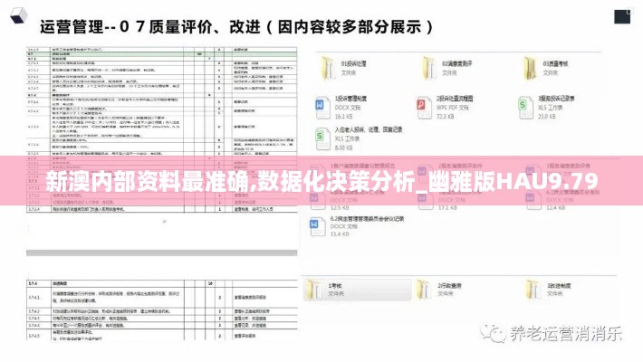 新澳内部资料最准确,数据化决策分析_幽雅版HAU9.79