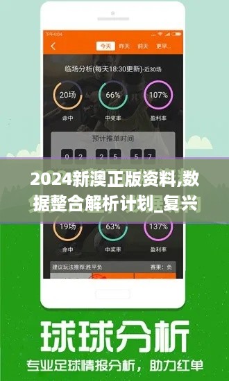 2024新澳正版资料,数据整合解析计划_复兴版EPZ9.22