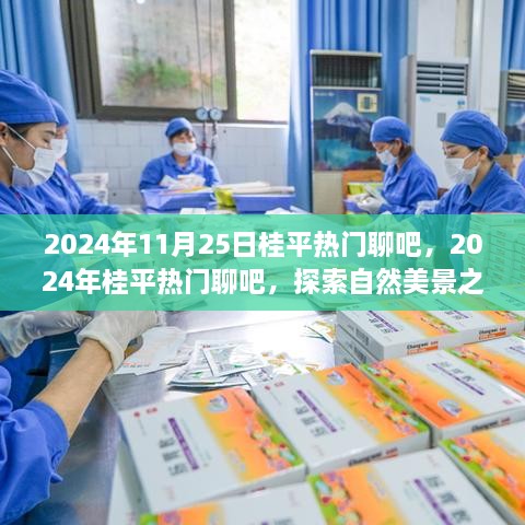 探索自然美景之旅，桂平热门聊吧，寻找内心的宁静与平和（2024年11月25日）