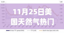 揭秘，美国天然气市场风云再起——最新动态报道（11月25日）