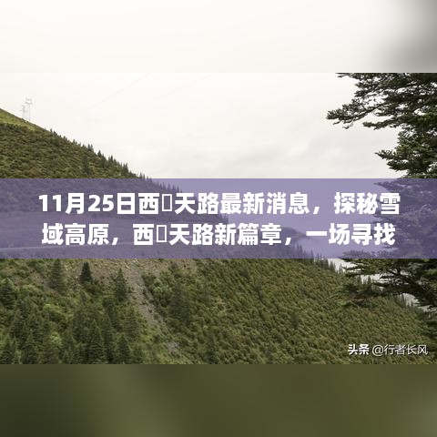 探秘雪域高原，西蔵天路新篇章，寻找内心平静的奇妙旅程最新消息（11月25日）