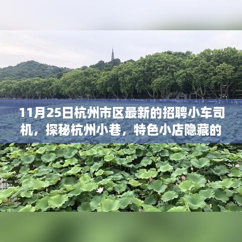 杭州特色小巷小车司机招聘记，探寻职业宝藏与隐藏小店之旅