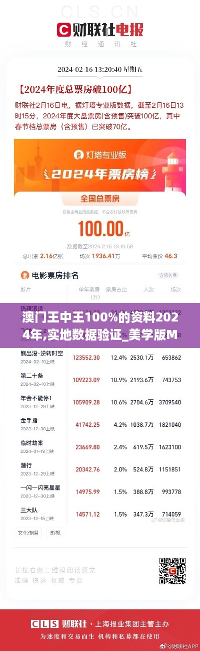 澳门王中王100%的资料2024年,实地数据验证_美学版MZD9.48