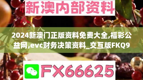 2024新澳门正版资料免费大全,福彩公益网,evc财务决策资料_交互版FKQ9.93