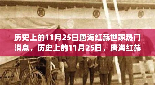 2024年11月 第293页