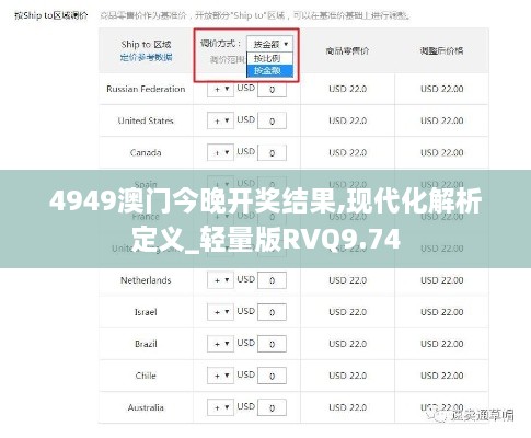 4949澳门今晚开奖结果,现代化解析定义_轻量版RVQ9.74