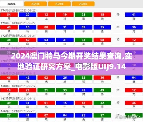 2024澳门特马今期开奖结果查询,实地验证研究方案_电影版UIJ9.14