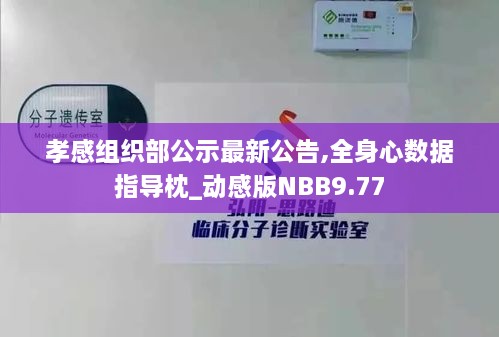 孝感组织部公示最新公告,全身心数据指导枕_动感版NBB9.77