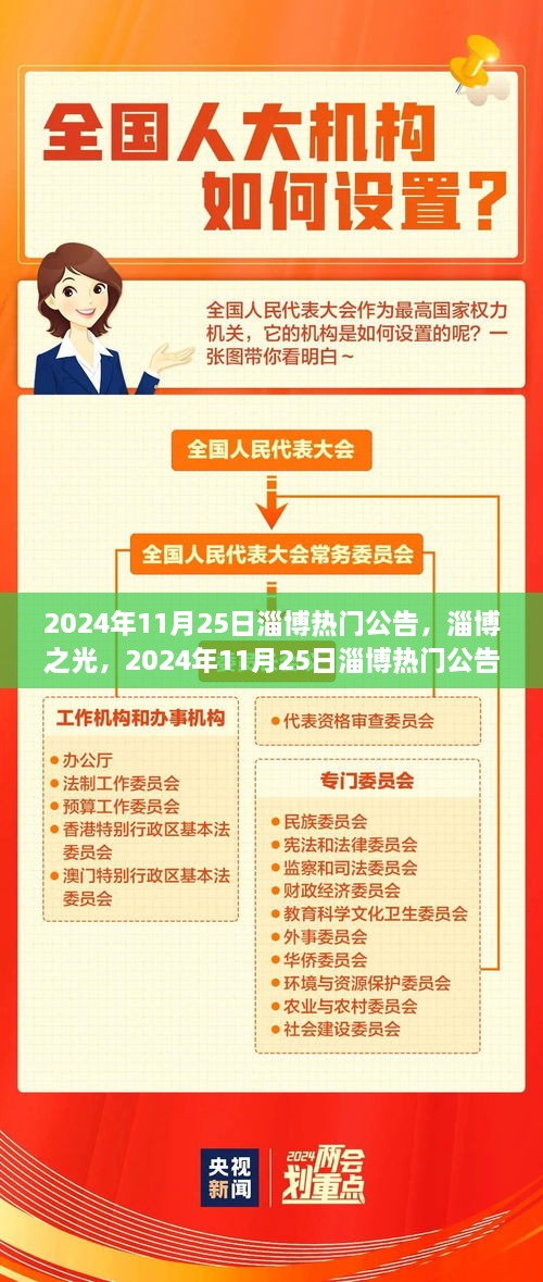 淄博之光，回顾与展望 2024年11月25日热门公告回眸