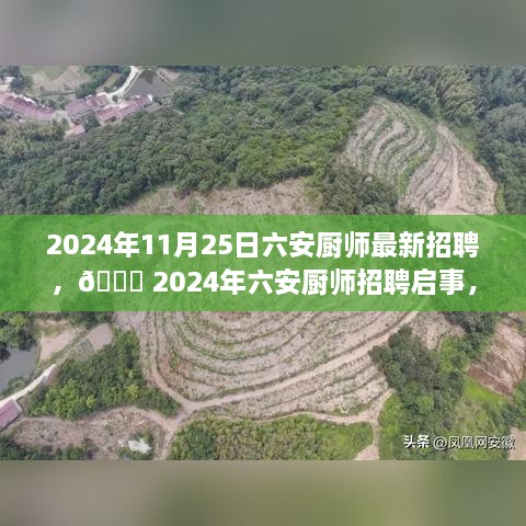 2024年六安厨师招聘启事，寻找烹饪大师的新舞台