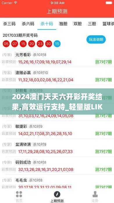 2024澳门天天六开彩开奖结果,高效运行支持_轻量版LIK9.93