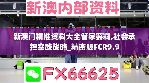 新澳门精准资料大全管家婆料,社会承担实践战略_精密版FCR9.9