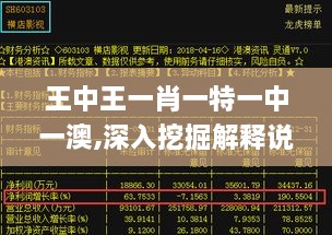 王中王一肖一特一中一澳,深入挖掘解释说明_方案版LDO9.43