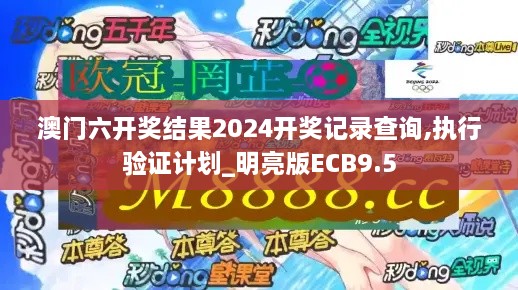 澳门六开奖结果2024开奖记录查询,执行验证计划_明亮版ECB9.5