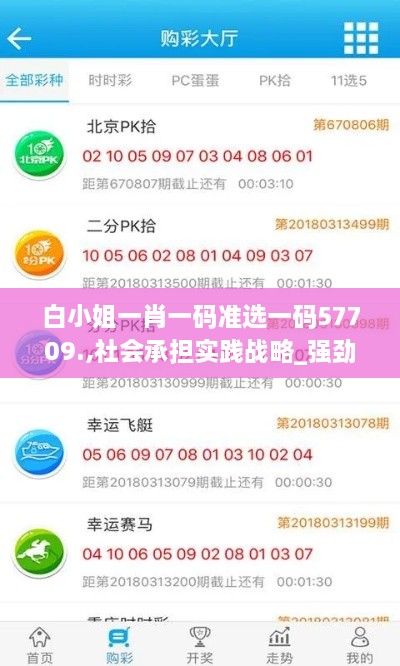 白小姐一肖一码准选一码57709.,社会承担实践战略_强劲版PNZ9.58