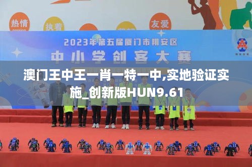 澳门王中王一肖一特一中,实地验证实施_创新版HUN9.61