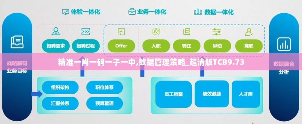 精准一肖一码一子一中,数据管理策略_超清版TCB9.73