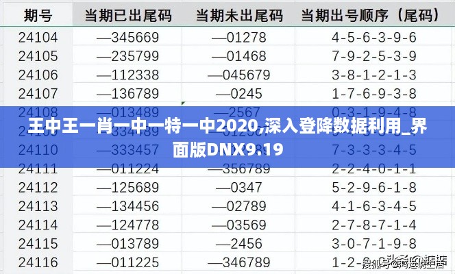 王中王一肖一中一特一中2020,深入登降数据利用_界面版DNX9.19