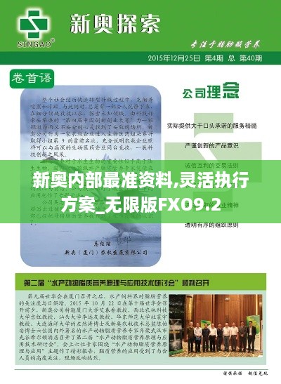 新奥内部最准资料,灵活执行方案_无限版FXO9.2