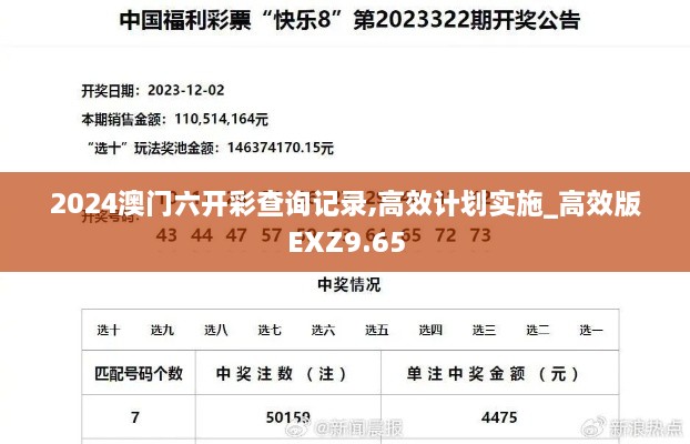 2024澳门六开彩查询记录,高效计划实施_高效版EXZ9.65