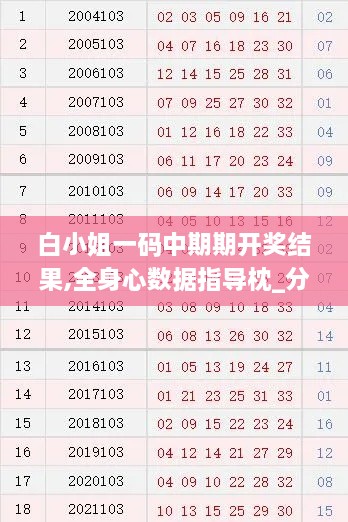 白小姐一码中期期开奖结果,全身心数据指导枕_分析版OGQ9.36