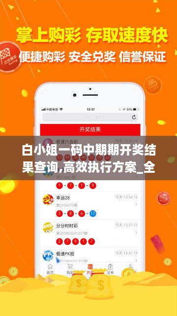 白小姐一码中期期开奖结果查询,高效执行方案_全球版FHW9.41