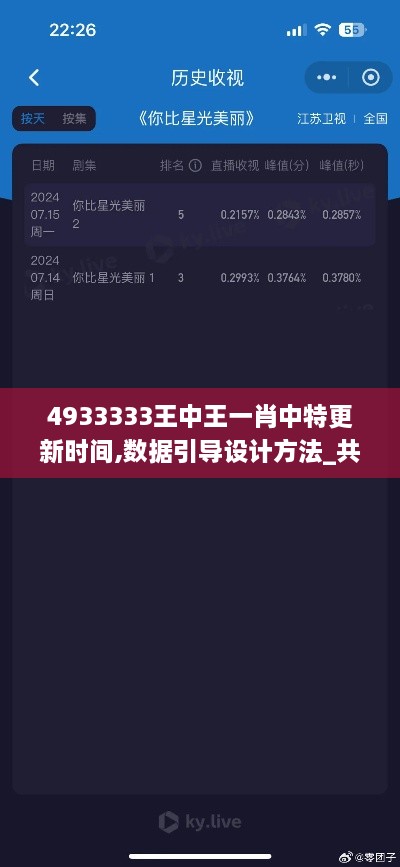 4933333王中王一肖中特更新时间,数据引导设计方法_共鸣版KRE9.66