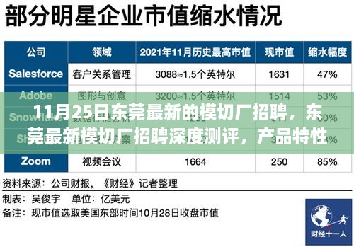 东莞模切厂最新招聘及深度测评，产品特性、用户体验与目标用户分析