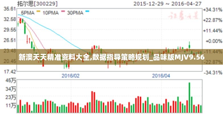 新澳天天精准资料大全,数据指导策略规划_品味版MJV9.56