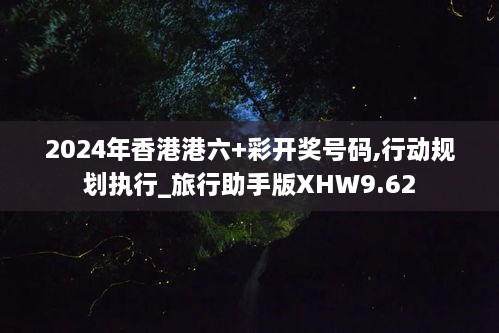 2024年香港港六+彩开奖号码,行动规划执行_旅行助手版XHW9.62