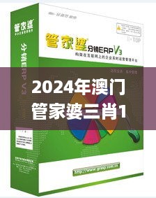 2024年澳门管家婆三肖100%,高效执行方案_高清晰度版UBI9.16