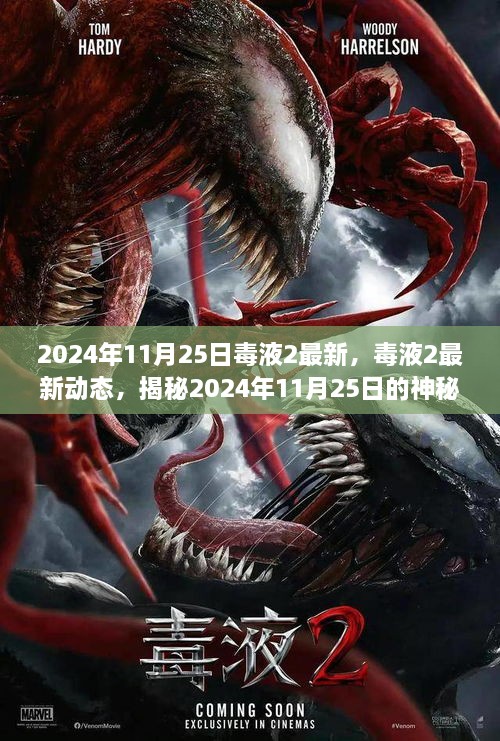 2024年11月 第176页