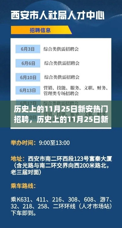 历史上的新安热门招聘深度解析，聚焦11月25日的招聘热潮