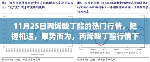 励志成长之路，把握丙烯酸丁酯行情机遇，顺势而为的热门行情解析