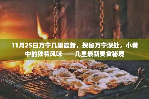 探秘万宁深处，小巷独特风味美食秘境（最新更新）