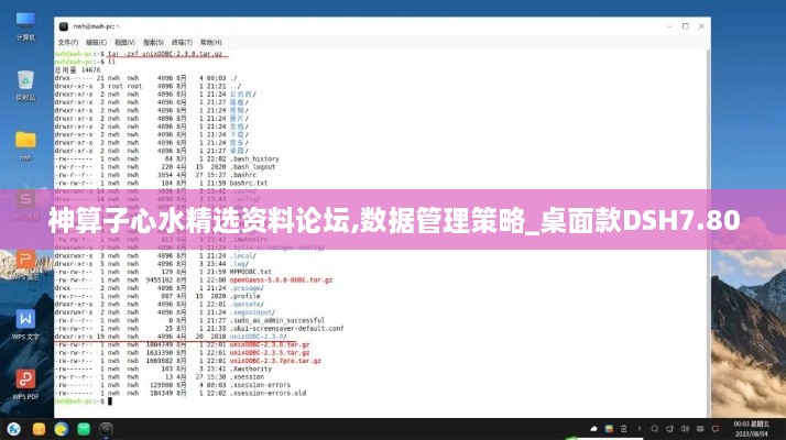 神算子心水精选资料论坛,数据管理策略_桌面款DSH7.80