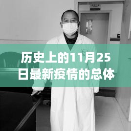 历史上的11月25日全球疫情形势概览与最新动态分析