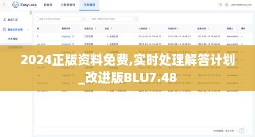 2024正版资料免费,实时处理解答计划_改进版BLU7.48