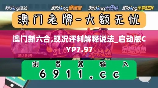 澳门新六合,现况评判解释说法_启动版CYP7.97