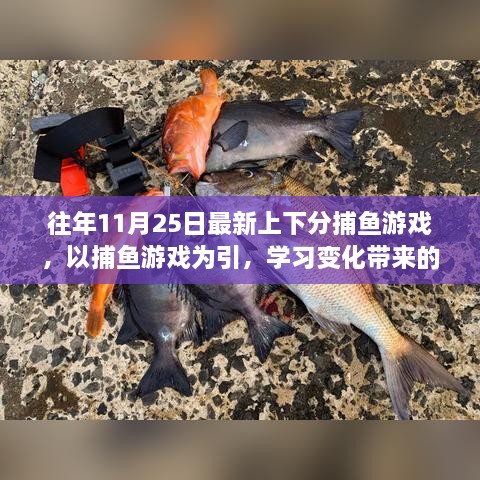 励志捕鱼游戏，上下分挑战中的自信与成就感之旅