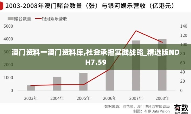 澳门资料一澳门资料库,社会承担实践战略_精选版NDH7.59