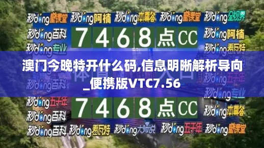 澳门今晚特开什么码,信息明晰解析导向_便携版VTC7.56