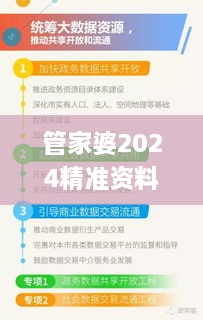 管家婆2024精准资料大全,实践数据分析评估_零障碍版DVA7.43