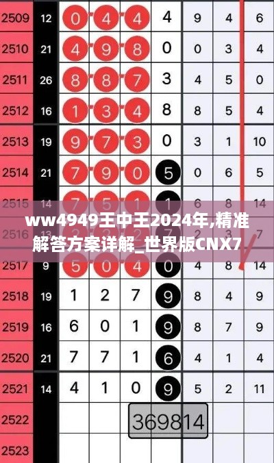 ww4949王中王2024年,精准解答方案详解_世界版CNX7.63